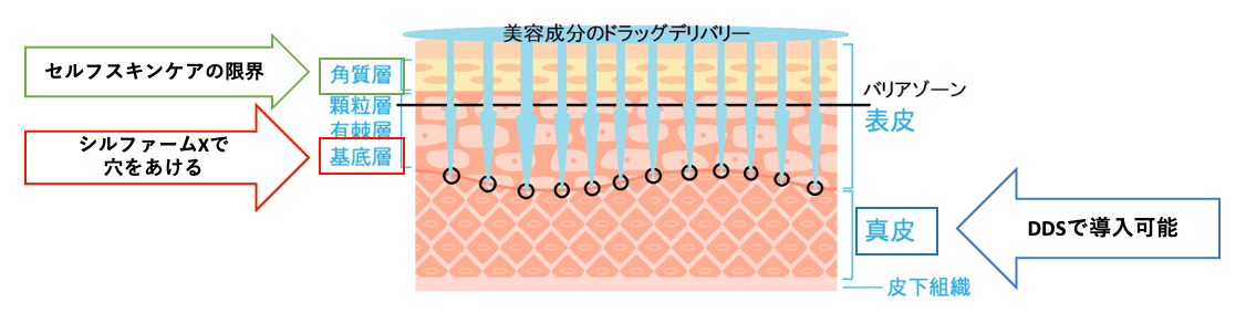 ドラッグデリバリーシステム