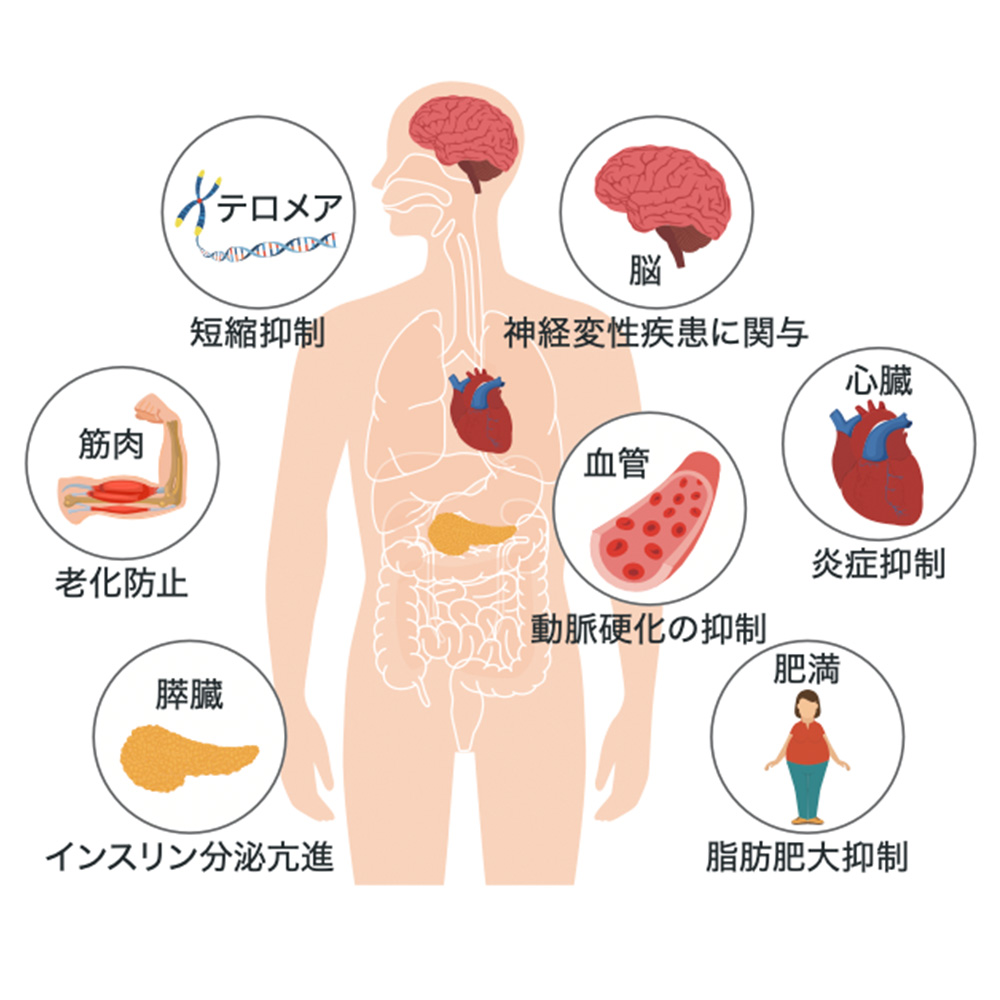 NMN点滴