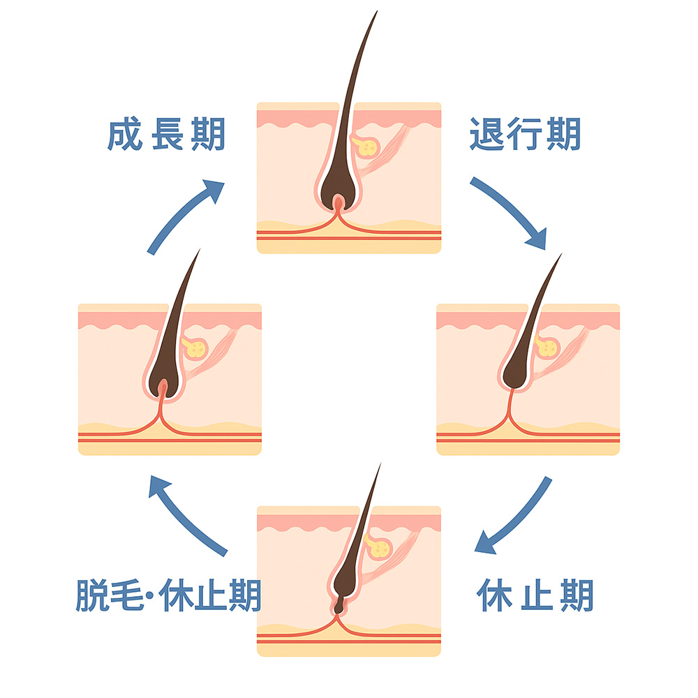 医療脱毛