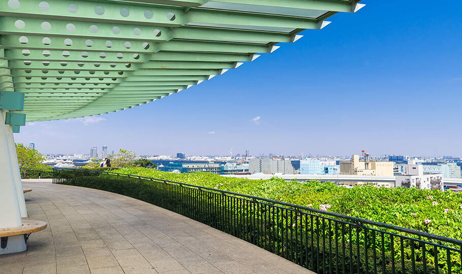 见港湾丘公园